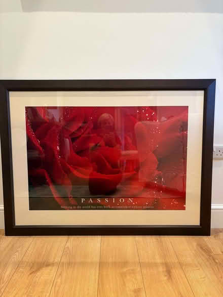 Photo of free Large Framed Print (Longburton DT9) #1