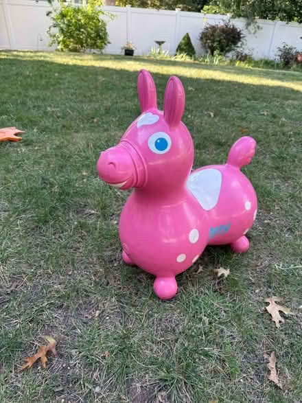 Photo of free Rody bounce horse (Somerset) #1