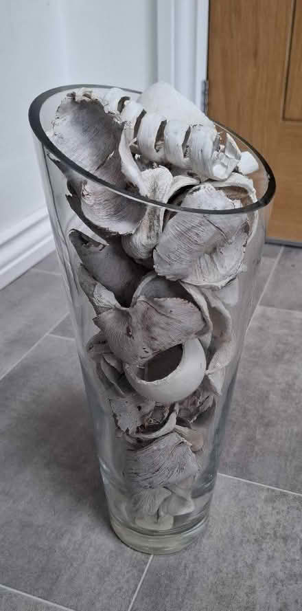 Photo of free Lot of decorative natural 'bits' for display (Boughton Monchelsea ME17) #3