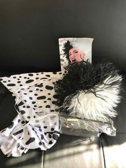 Photo of free Adult’s Cruella Deville costume (Tooting SW19) #1