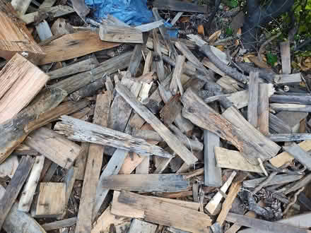 Photo of free Firewood/ Kindling (Fircrest) #2