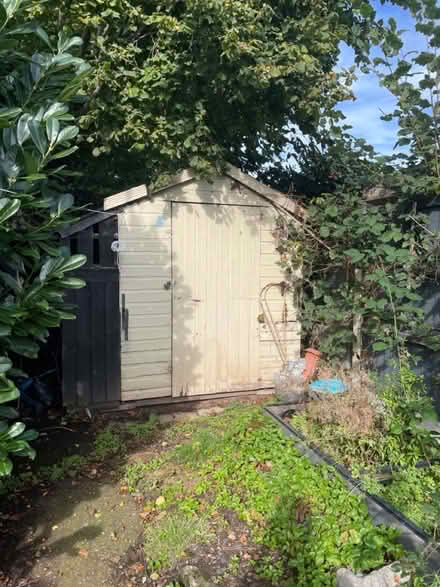 Photo of free Garden shed (Newport TF10) #1