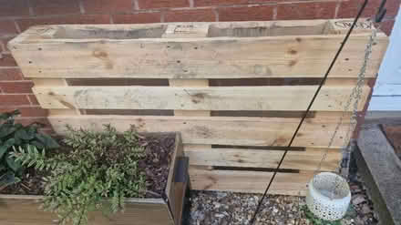 Photo of free Euro pallet (Kirk Hallam) #1