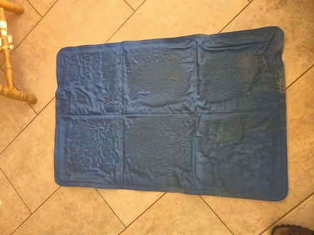 Photo of free 2 cooling pet mats. (Polegate BN26) #1