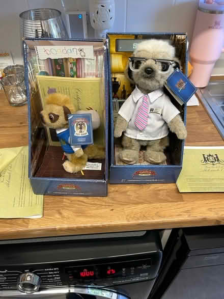 Photo of free Compare the meerkat toys (Letchworth) #1