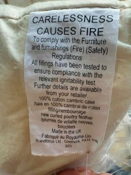 Photo of free 4 x Used feather cushion inners (Cranleigh) #2