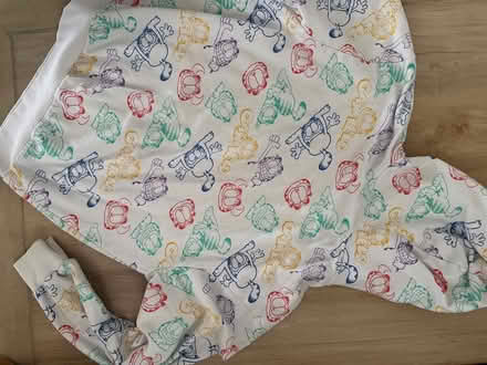 Photo of free Garfield hooded sweatshirt (Castleton) #3