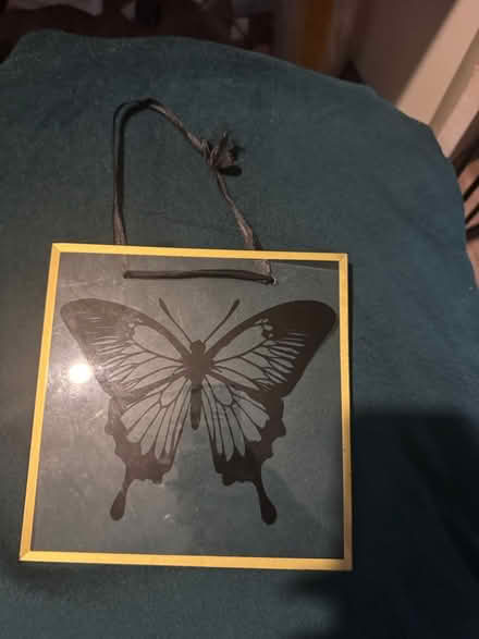 Photo of free butterfly picture (BR5) #1