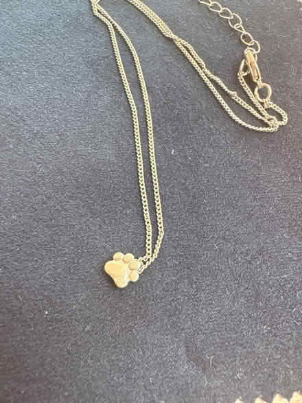 Photo of free Paw print neckace (TW12 - Hampton Hill) #1