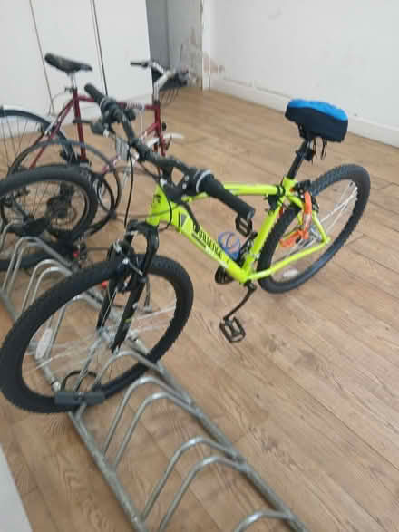Photo of free All you racers out there (Vale rd, harringay N4) #4