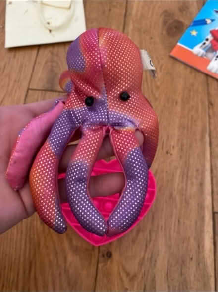 Photo of free Beanie & Fidget Popper (Cheshunt En8) #2