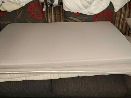 Photo of free Garden cushions (Penarth CF64) #1
