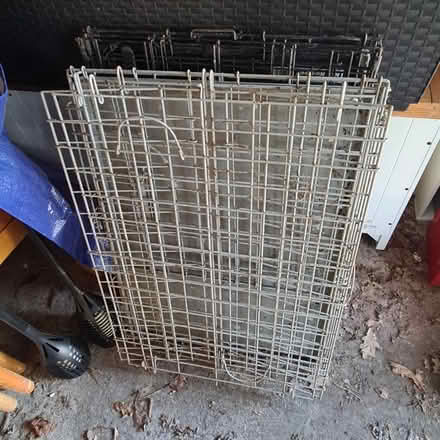 Photo of free Two dog cages (Southgate RH11) #1