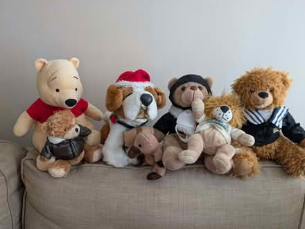 Photo of free Bag of stuffed teddy bears (Broughton MK10) #1