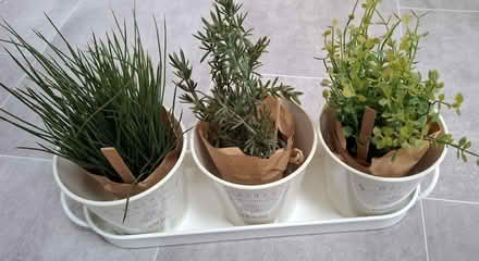 Photo of free Decorative faux herbs set (Boughton Monchelsea ME17) #2