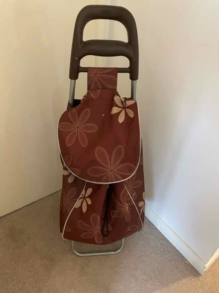 Photo of free Brown trolley (Worthing BN11) #1