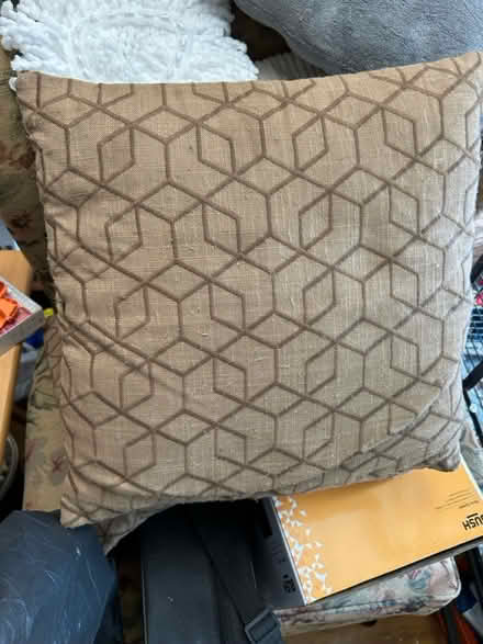 Photo of free Cushions (Blackburn BB2) #1