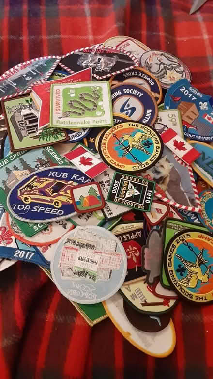 Photo of free Scout badges (Southdown and Truscott) #1