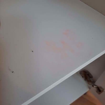 Photo of free Undersink cabinet (Southport PR8) #4