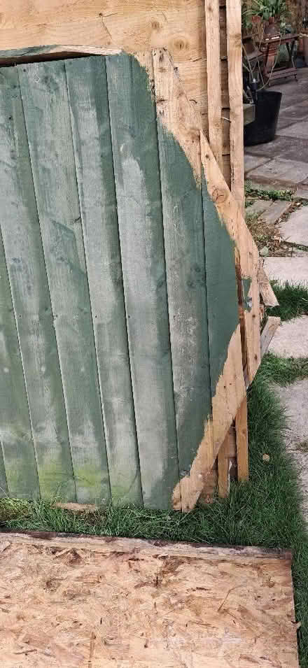 Photo of free Shed for repair/parts 6 x 4 (Upton CH2) #3