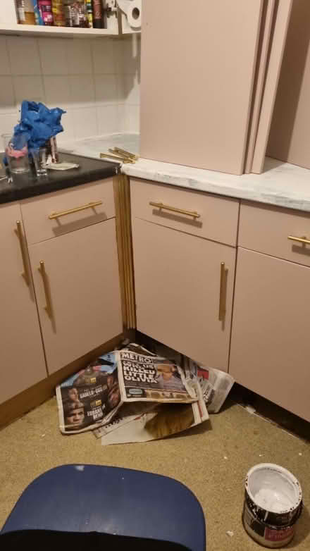 Photo of free dusty pink paint (BR5) #2