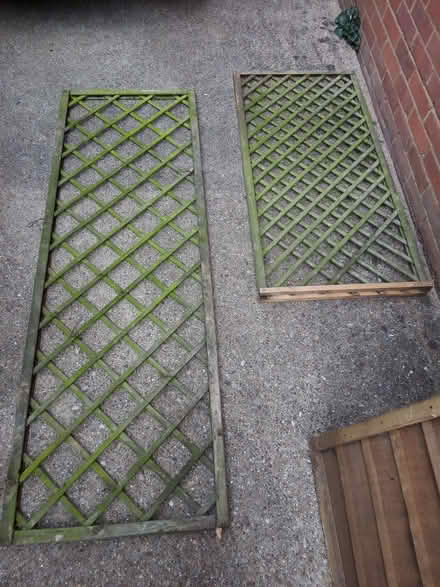 Photo of free Trellis panels (Great Linford MK14) #1