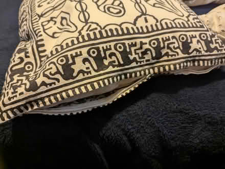 Photo of free Cushions (M20 Withington) #3