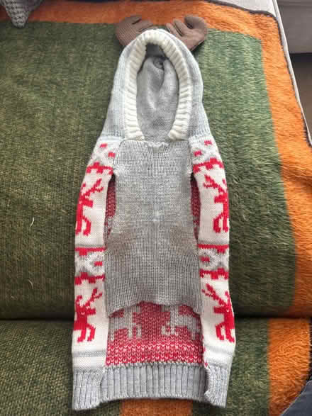 Photo of free Christmas dog jumper (Soham, CB7) #2
