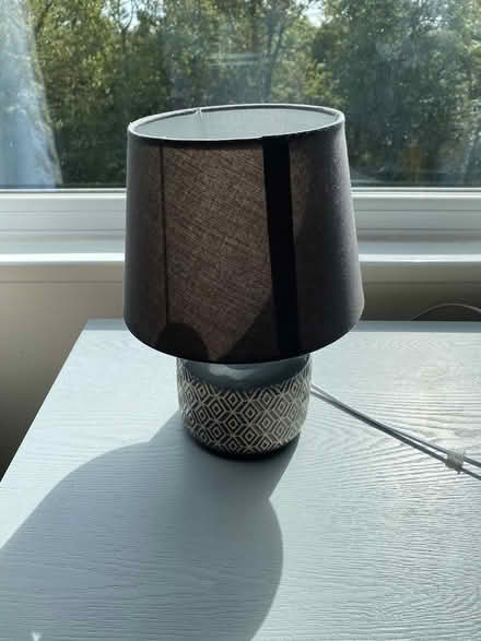 Photo of free Lamp and decorative items (vange, basildon) #3