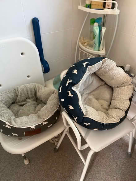 Photo of free Cat or dog beds (Kimpton, SG4) #1