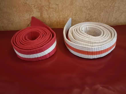 Photo of free 2 judo belts (EH3 Canonmills) #1