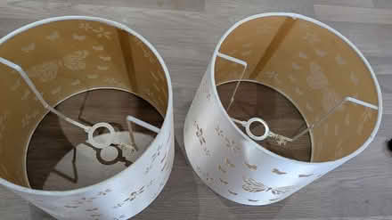Photo of free Lampshades (Huntley) #1