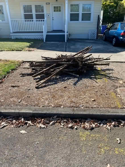 Photo of free dried outdoor firewood (3145 NE 76th Ave 97213) #1