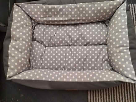 Photo of free Dog/cat beds (Penarth CF64) #1