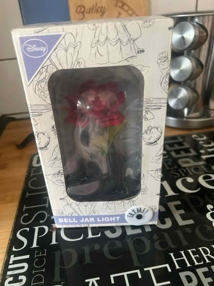 Photo of free Beauty and the beast light (Long ditton) #1