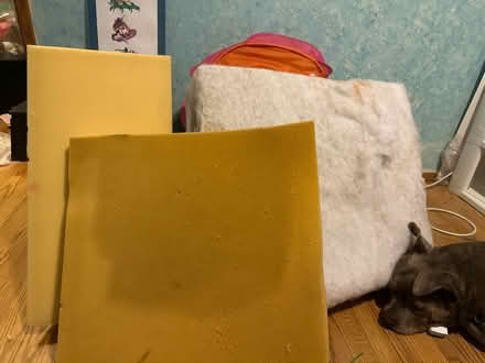 Photo of free Various sizes of foam (NE Seattle) #1