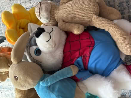 Photo of free Soft toy bundle (Kenilworth CV8) #3