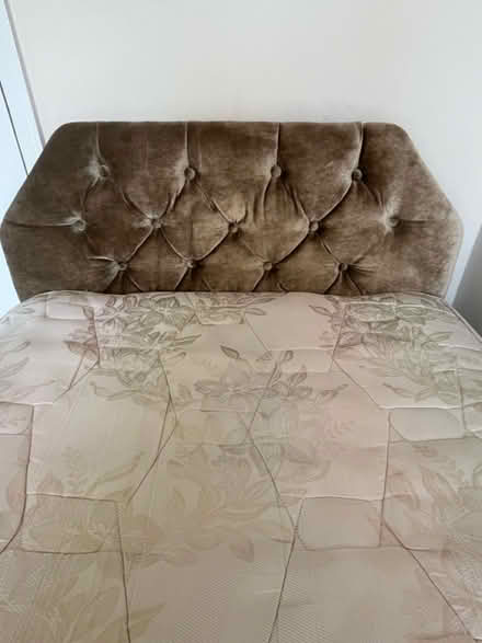 Photo of free Single bed (Woodbridge IP12) #4
