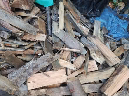 Photo of free Firewood/ Kindling (Fircrest) #3
