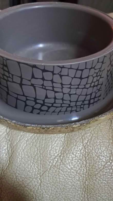 Photo of free Pet bowl (Holloway road N4) #3