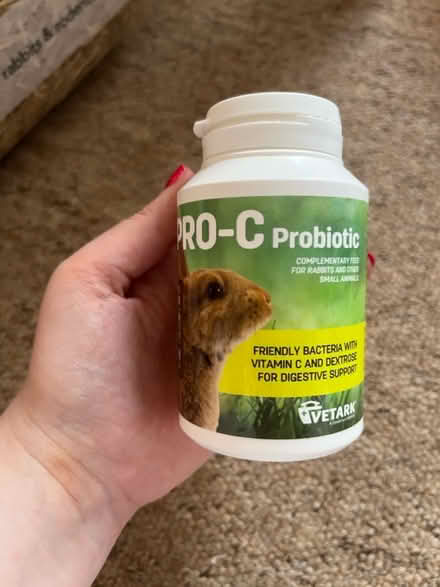 Photo of free Small Animal Bedding/Accessories (CT2) #3