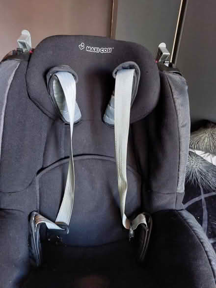 Photo of free Child's car seat (Bilborough NG8) #4