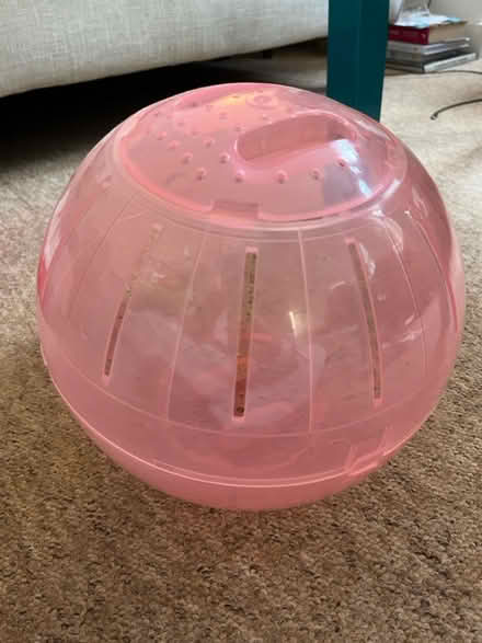 Photo of free Small Animal Bedding/Accessories (CT2) #4