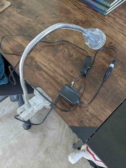 Photo of free Study/hobby/reading light (Newcastle Under Lyme) #2