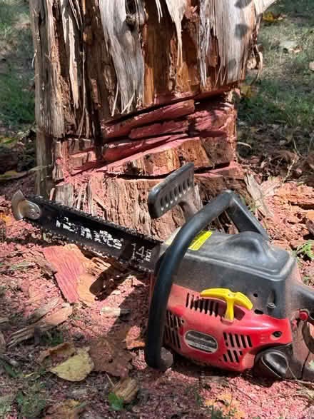 Photo of free 10 foot cedar stump (Near Free Union, VA) #2