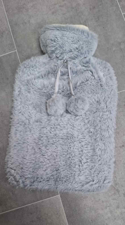 Photo of free Hot water bottle in fluffy cover (Boughton Monchelsea ME17) #1