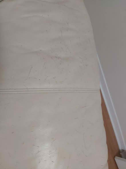 Photo of free Sofa pick up (Finch ave E / Lesile) #4