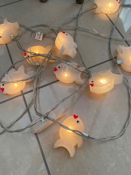 Photo of free Fish shaped fairy lights (Hurstpierpoint BN6) #1