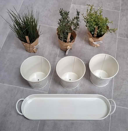 Photo of free Decorative faux herbs set (Boughton Monchelsea ME17) #3