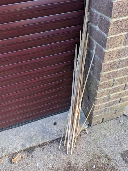 Photo of free Garden canes (Bradway S17) #2